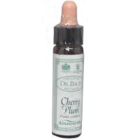 Ainsworths Dr. Bach Cherry Plum 10ml