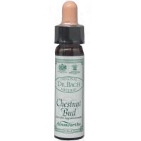 Ainsworths Dr. Bach Chestnut Bud 10ml