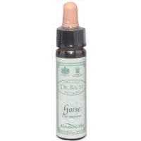 Ainsworths Dr. Bach Gorse 10ml