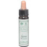 Ainsworths Dr. Bach Gorse 10ml