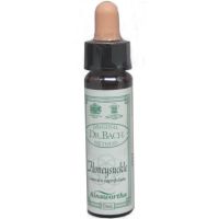 Ainsworths Dr. Bach Honeysuckle 10ml