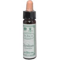 Ainsworths Dr. Bach Hornbeam 10ml