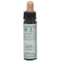 Ainsworths Dr. Bach Larch 10ml