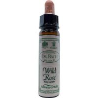 Ainsworths Dr. Bach Wild Rose 10ml