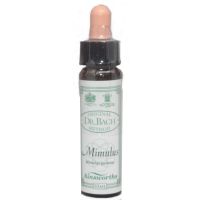 Ainsworths Dr. Bach Mimulus 10ml