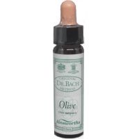 Ainsworths Dr. Bach Olive 10ml