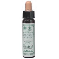 Ainsworths Dr. Bach Red Chestnut 10ml