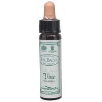 Ainsworths Dr. Bach Vine 10ml