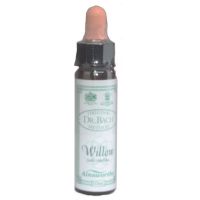Ainsworths Dr. Bach Willow 10ml