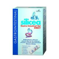 A.Vogel Hubner Silicea Gastrointestinal Gel 6 x 15ml