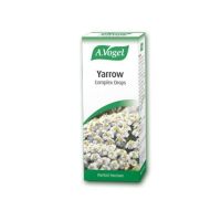 A.Vogel Yarrow complex 50ml  (Gastrosan)