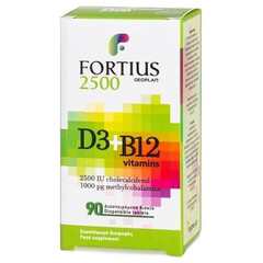 Geoplan Fortius 2500 D3 2500IU & B12 Vitamins 1000μg 90tabs