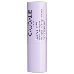 Caudalie Lip Balm 4.5gr