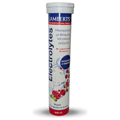 Lamberts Electrolytes Blueberry 13 αναβράζοντα δισκία